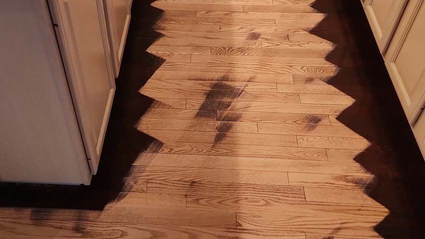 Expert Sanding and Preparation